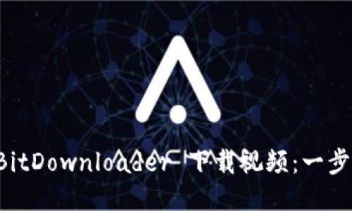 如何使用 BitDownloader 下载视频：一步一步的指南