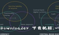 如何使用 BitDownloader 下载视频：一步一步的指南