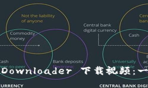 如何使用 BitDownloader 下载视频：一步一步的指南