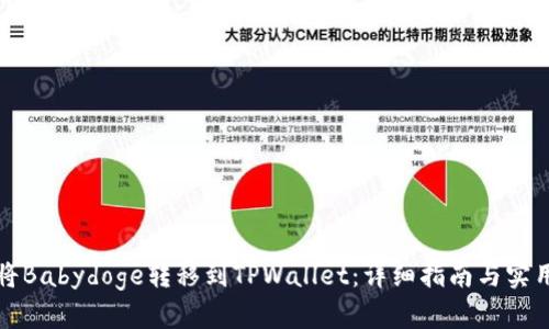 如何将Babydoge转移到TPWallet：详细指南与实用技巧