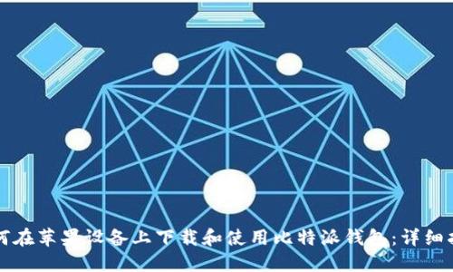 如何在苹果设备上下载和使用比特派钱包：详细指南