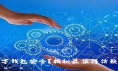 哪些数字钱包安全？揭秘最值得信赖的选择