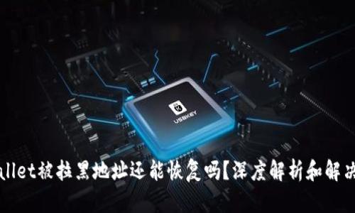 TPWallet被拉黑地址还能恢复吗？深度解析和解决方案