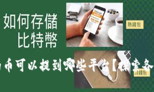 TPWallet的币可以提到哪些平台？探索各种提币选择