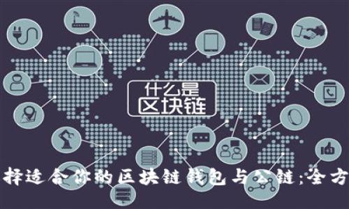 ```xml
如何选择适合你的区块链钱包与公链：全方位指南