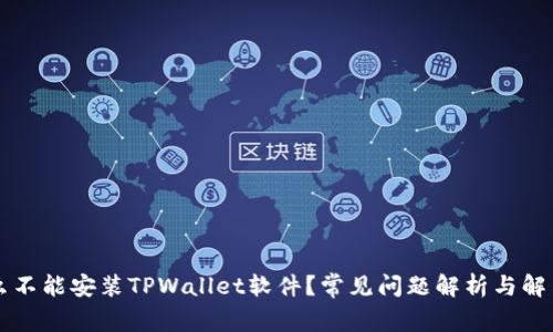 为什么不能安装TPWallet软件？常见问题解析与解决方案