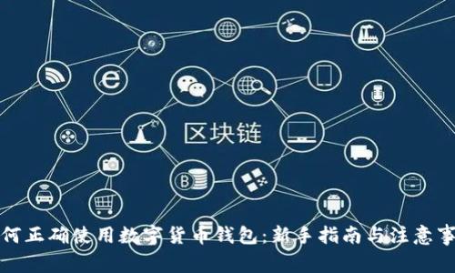 如何正确使用数字货币钱包：新手指南与注意事项