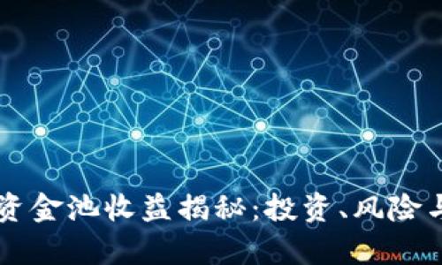 TPWallet资金池收益揭秘：投资、风险与回报分析