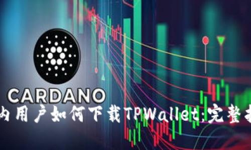 国内用户如何下载TPWallet：完整指南