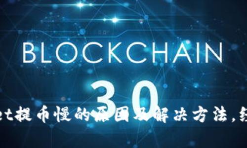 tpwallet提币慢的原因及解决方法，经验分享