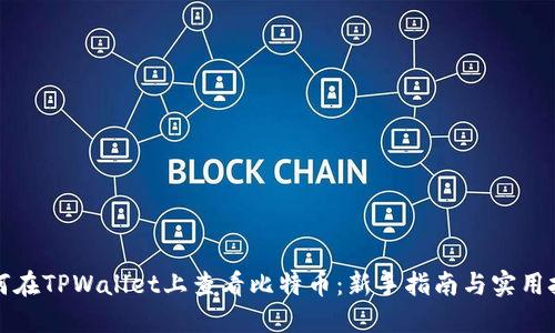 如何在TPWallet上查看比特币：新手指南与实用技巧