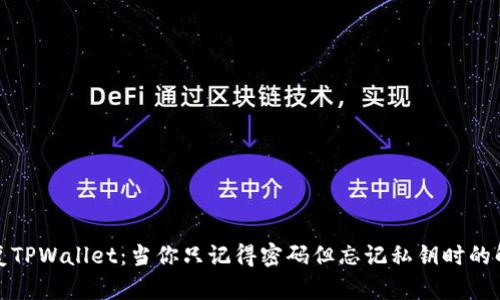 如何恢复TPWallet：当你只记得密码但忘记私钥时的解决方案