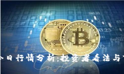 狗狗币今日行情分析：投资者看法与市场动态