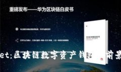 TPWallet：区块链数字资产钱包的前景与发展