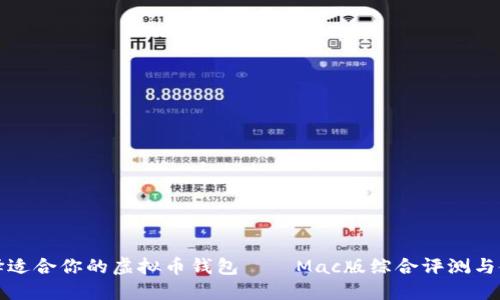 如何选择适合你的虚拟币钱包——Mac版综合评测与使用指南