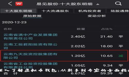 深入了解虚拟币钱包：从新手到专家的全面指南