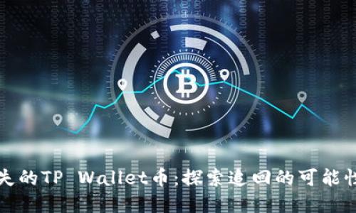 如何找回丢失的TP Wallet币：探索追回的可能性与实用指南