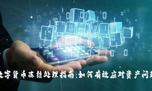 数字货币冻结处理指南：如何有效应对资产问题