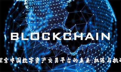探索中国数字资产交易平台的未来：机遇与挑战