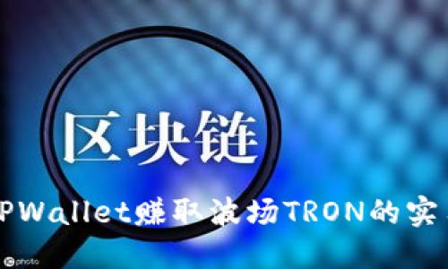利用TPWallet赚取波场TRON的实用指南