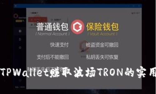 利用TPWallet赚取波场TRON的实用指南