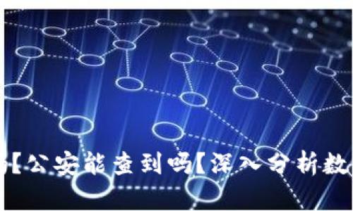 TPWallet安全吗？公安能查到吗？深入分析数字钱包的安全性