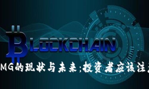 揭开虚拟币OMG的现状与未来：投资者应该注意的关键因素