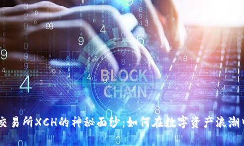 揭开OKEx交易所XCH的神秘面纱：如何在数字资产浪潮中乘风破浪