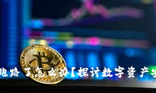 如果TPWallet跑路了怎么办？探讨数字资产安全与应对策略