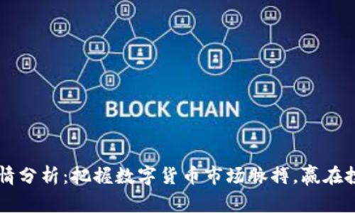 币圈实时行情分析：把握数字货币市场脉搏，赢在投资的起跑线