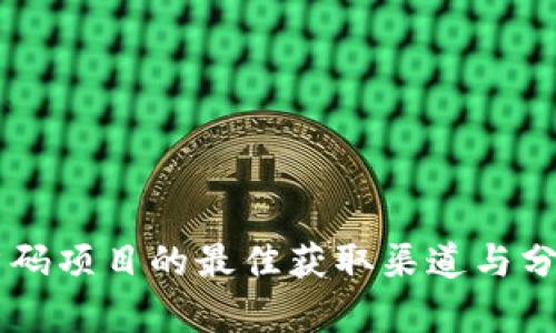 币圈首码项目的最佳获取渠道与分析指南