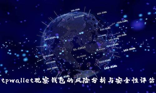 tpwallet观察钱包的风险分析与安全性评估
