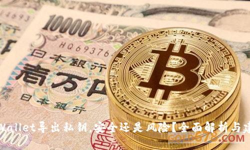 TPWallet导出私钥，安全还是风险？全面解析与建议