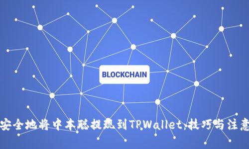 如何安全地将中本聪提现到TPWallet：技巧与注意事项