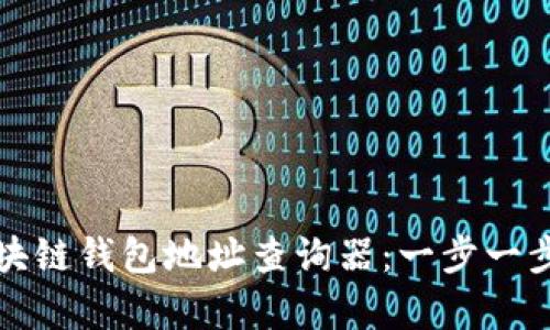 如何有效使用区块链钱包地址查询器：一步一步指导与实用技巧