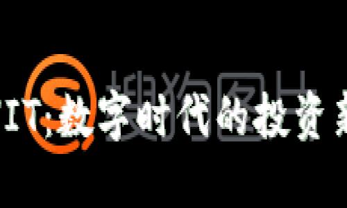 探索虚拟币HIT：数字时代的投资新机遇与风险