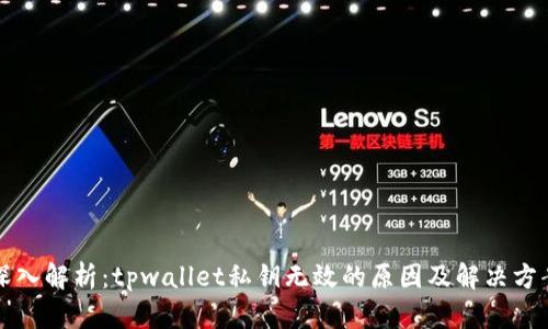 深入解析：tpwallet私钥无效的原因及解决方案