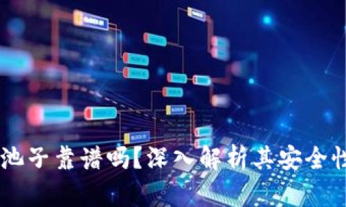 TPWallet加池子靠谱吗？深入解析其安全性与投资潜力