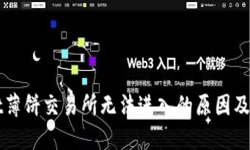 TPWallet薄饼交易所无法进入的原因及解决方案