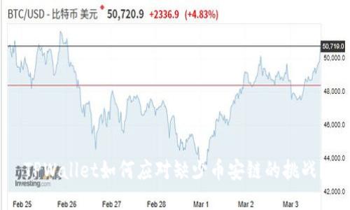 TPWallet如何应对缺少币安链的挑战？