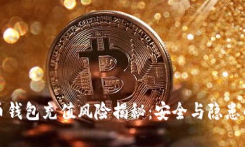 虚拟币钱包充值风险揭秘：安全与隐患的平衡