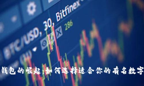 数字钱包的崛起：如何选择适合你的有名数字钱包