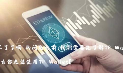 在我们深入探讨“tpwallet用不了了吗”的问题之前，我们需要先了解TP Wallet是什么以及它的主要功能。

TP Wallet使用问题解析：为什么你无法使用TP Wallet？