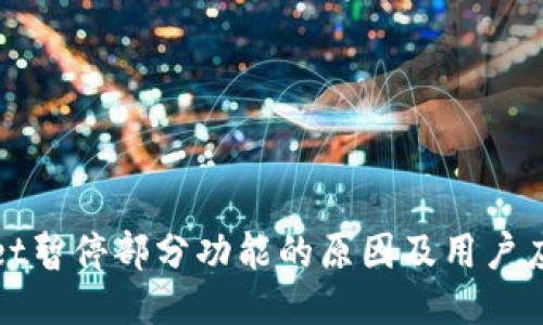 TPWallet暂停部分功能的原因及用户应对策略