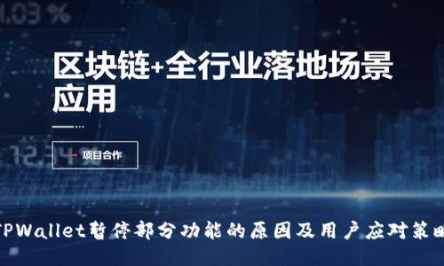TPWallet暂停部分功能的原因及用户应对策略