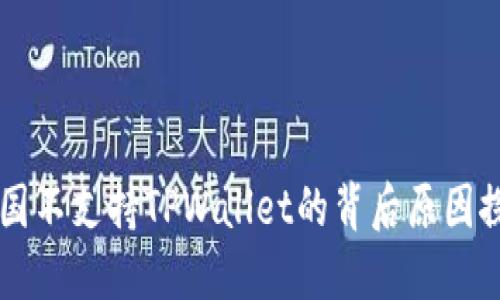 中国不支持TPWallet的背后原因探究