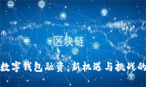 美国数字钱包融资：新机遇与挑战的交锋