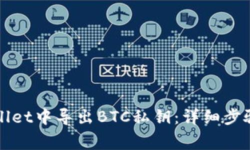 如何在TPWallet中导出BTC私钥：详细步骤与注意事项