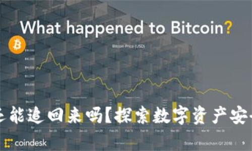 tpwallet被盗还能追回来吗？探索数字资产安全与维护的对策