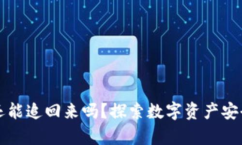 tpwallet被盗还能追回来吗？探索数字资产安全与维护的对策